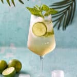 summer-cocktail-hugo-spritz-pinterest