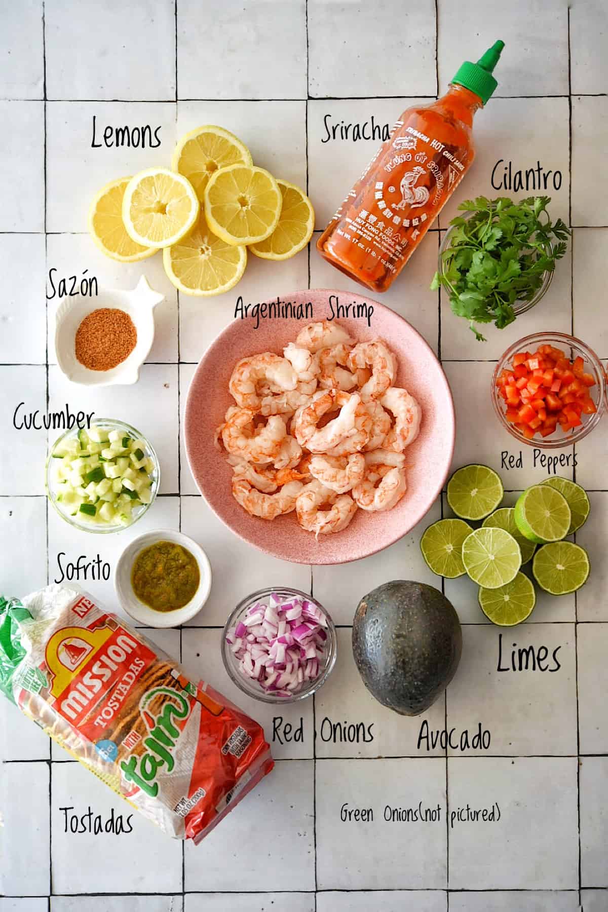 ceviche-ingredients
